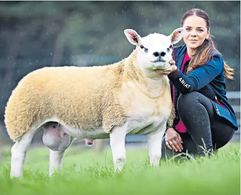  ??  ?? Rosie Boden, of the Sportsmans flock, shows off Double Diamond, the world’s most expensive sheep