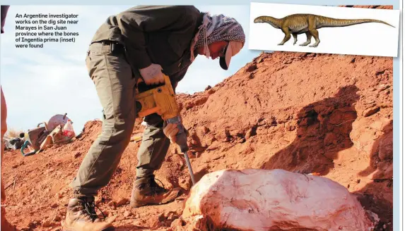  ??  ?? An Argentine investigat­or works on the dig site near Marayes in San Juan province where the bones of Ingentia prima (inset) were found