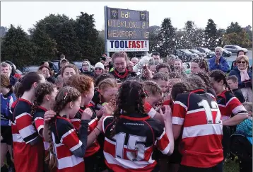  ??  ?? Pure joy as Wicklow under-14s clinch victory.