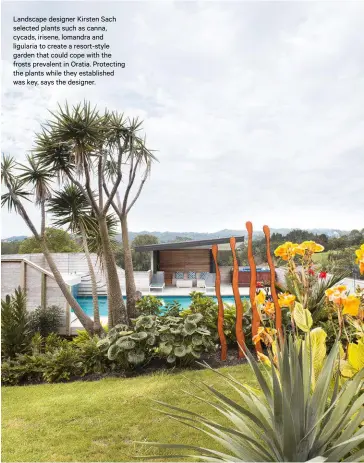  ??  ?? Landscape designer Kirsten Sach selected plants such as canna, cycads, irisene, lomandra and ligularia to create a resort-style garden that could cope with the frosts prevalent in Oratia. Protecting the plants while they establishe­d was key, says the designer.