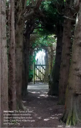  ??  ?? THIS PAGE “The Tunnel of Trees”, a hidden treasure revealed by chainsaw-wielding farm worker Simon Cook; Mark made the gate one Mother’s Day.