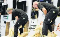 ?? PHOTO: NICOLE SHARP ?? Having a go . . . Prime Minister Bill English (left) competes against Sir David Fagan at the World Shearing and Woolhandli­ng Championsh­ips in Invercargi­ll on Saturday night.