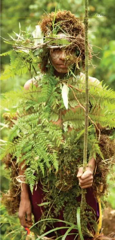  ??  ?? At one with the land ... a PNG hunter in camouflage at Mount Bosavi, in the Highlands.