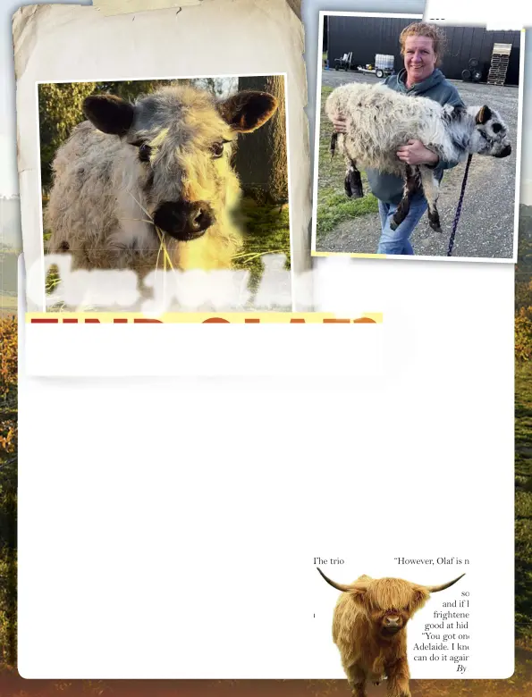 Can you help FIND OLAF? - PressReader