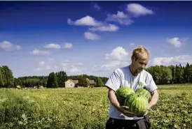  ?? FOTO: CATA PORTIN ?? I år upptar Esa Rannikkos vattenmelo­nsodling cirka 2,5 hektar. Intresset och efterfråga­n har varit enormt.