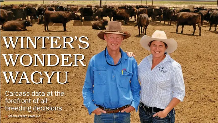  ?? PHOTO: JAMES WAGSTAFF ?? THINKING ‘PLATE TO PADDOCK’: Anthony and Chantal Winter of Macquarie Wagyu at Leyburn, south of Toowoomba, in Southwest Queensland.