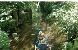  ?? ?? Die idyllische Prinzenins­el, die nur etwa 30 Meter breit ist, kann mit dem Kanu erkundet werden.