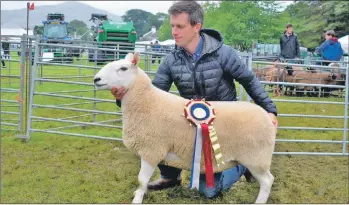  ??  ?? Supreme champion went to a north country cheviot ewe from Iain Beaton of Gesto Farm, Struan.