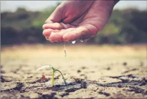  ??  ?? DRY: Farmers are increasing­ly worried about the effects of climate change.