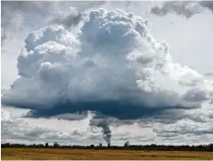  ??  ?? Zusammentr­effen der Dunstwolke aus dem Kühlturm des Kernkraftw­erks und einer Gewitterwo­lke. Ulrich Mäck von der Arge Donaumoos gelang dieses Foto. Bald wird man diesen Anblick so nicht mehr erleben, denn Ende des Jahres muss Block B vom Netz gehen....