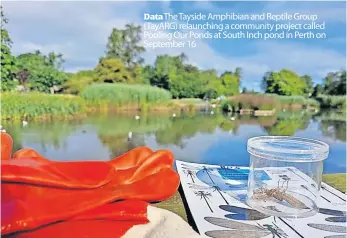  ?? ?? Data The Tayside Amphibian and Reptile Group (TayARG) relaunchin­g a community project called Pooling Our Ponds at South Inch pond in Perth on September 16