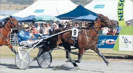  ?? Photo: PATRICK HAMILTON/FAIRFAX NZ ?? Home dash: Jason Rulz, driven by Ricky May, wins yesterday’s Cup Prelude with a blistering finish.