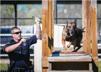  ?? Marie D. De Jesús / Houston Chronicle ?? Houston Police Department K-9 Jake runs an obstacle course with his handler, senior police officer Brian Schmidt.