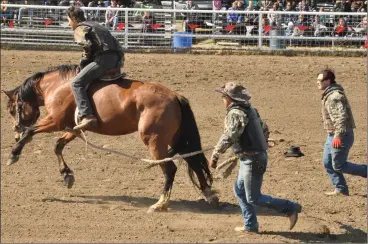  ??  ?? Jason Loken, Cody Loken, and Cory Loken did everything right in the Wild Horse Race on Saturday afternoon at the Patricia Rodeo. The Loken team competed against four others in the event.