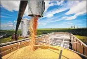  ?? Scott Olson Getty Images ?? CHINA pledged to buy an additional $32 billion in agricultur­al products, including soybeans, above.