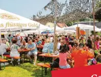  ??  ?? Feiern an neuer Stelle: Das Gartenfest in Jedesheim geht nicht wie üblich auf dem Marienplat­z, sondern auf dem Parkplatz vor der Gemeindeha­lle über die Bühne.