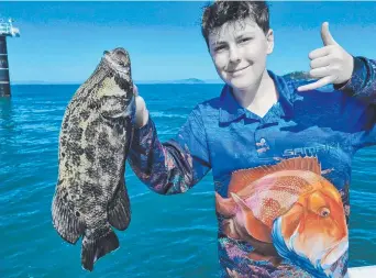  ?? ?? Finn Riddle pulled this tripletail or jumping cod from shipping channel markers last week.