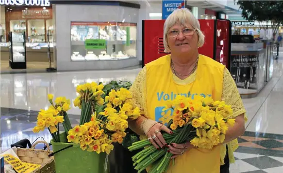  ?? Photo: contribute­d ?? FLOWER GIRL: Cancer Council Queensland volunteer extraordin­aire Margaret Walford at the daffodil fundraisin­g stand at Clifford Gardens Shopping Centre.