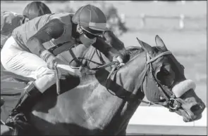  ?? Picture: Liesl King ?? Bernard Fayd’Herbe aboard RAINBOW BRIDGE, wins impressive­ly in the World Sports Betting Matchem Stakes at Durbanvill­e on Saturday. (12.20) - ITSARUSH.CO.ZA WELCOMES YOU MAIDEN PLATE of R58000 over 1300m (15.50) - BET ON SOCCER 6 FM 56 HANDICAP (F &amp; M) of R44000 over 1300m