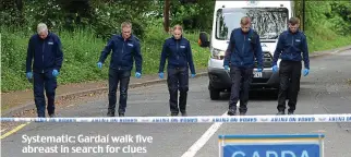  ??  ?? Systematic: Gardaí walk five abreast in search for clues