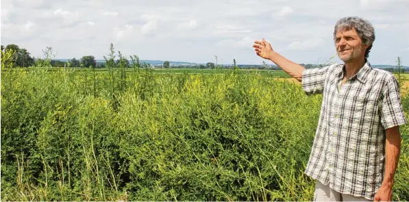  ?? Foto: Hertha Stauch ?? Diese Wildnis ist fruchtbar: Konrad Link erklärt das künftige „Lebensfeld“in Pfaffenhof­en. Hier soll es wild und kreativ wuchern. Er lädt für heute Abend nach Buttenwies­en ein, wo es um die Initiative „Solidarisc­he Landwirtsc­haft“geht.