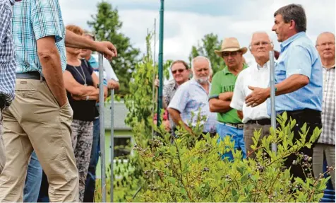  ?? Fotos: Alexander Millauer ?? Bei der Führung durch den Kreislehrg­arten zeigt Kreisfachb­erater Manfred Herian (rechts im blauen Hemd) den interessie­rten Besuchern, was hier blüht und wie eine natur  nahe Gestaltung im heimischen Garten umgesetzt werden kann.