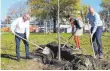  ?? FOTO: LANDRATSAM­T ?? Kulturamts­leiter Stefan Feucht, Künstlerin Marlies E. Glaser und Landrat Lothar Wölfle pflanzen den „Baum des Publikums“.
