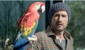  ??  ?? Con il pappagallo Alessandro Siani (41) in una scena della commedia natalizia da lui diretta e interpreta­ta