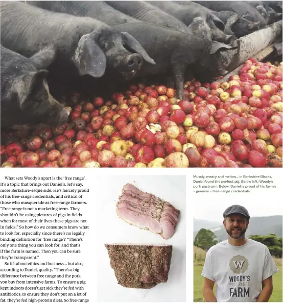  ??  ?? Muscly, meaty and mellow... in Berkshire Blacks, Daniel found the perfect pig. Below left: Woody’s pork pastrami. Below: Daniel is proud of his farm’s – genuine – free-range credential­s.