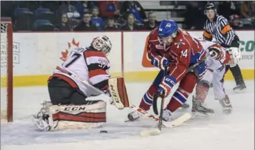  ?? GARY YOKOYAMA, THE HAMILTON SPECTATOR ?? The Bulldogs’ Niki Pettie is thwarted by Ottawa goalie Leo Lazarev, which was a familiar sight in Sunday’s game at FirstOntar­io Centre.