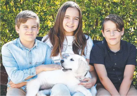  ?? Picture: Tertius Pickard ?? Oliver, 9, Maddison, 13, and Hunter, 11, with new pup Molly.