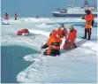  ?? FOTO: MAR FERNANDEZ / ALFRED-WEGENER-INSTITUT / DPA ?? Wissenscha­ftler vom Alfred-Wegener-Institut nehmen Proben aus einem Schmelztüm­pel auf arktischem Meereis.