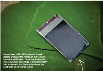  ??  ?? Researcher­s led by MIT professor Daniel Nocera produced the “artificial leaf”, shown here with real leaves. Like living leaves, the device can turn the energy of sunlight directly into a chemical fuel that can be stored and used later as an energy...