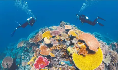  ??  ?? The Great Barrier Reef, one of the natural wonders of the world, needs a worldwide hand to save its corals, according to the Great Barrier Reef Marine Park Authority’s Dr Mark Read, an expert in the field