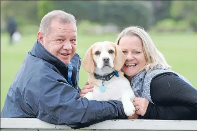  ?? Photo: JASON OXENHAM ?? Party animal: Spencer the beagle found a happy ending with Chris Gibbons and Barbara Venville after being rescued from a research laboratory.