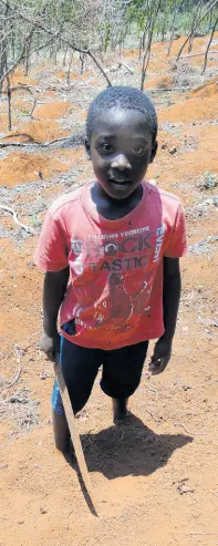  ??  ?? Six-year-old Nicolai Gayle, Ena Francis’ grandson, is ready to tread in his grandmothe­r’s farming footsteps.