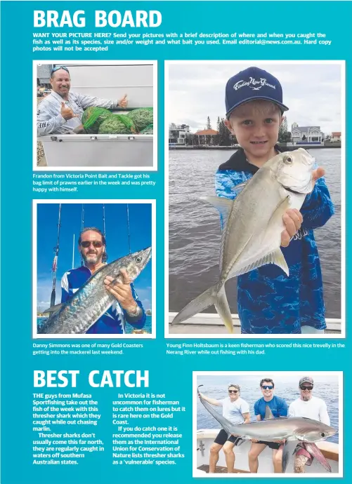  ??  ?? Frandon from Victoria Point Bait and Tackle got his bag limit of prawns earlier in the week and was pretty happy with himself. Danny Simmons was one of many Gold Coasters getting into the mackerel last weekend. Young Finn Holtsbaum is a keen fisherman...