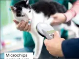  ?? ?? Microchips protect cats.