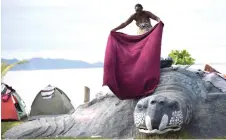  ?? ?? A stranded Haitian migrant dries a blanket at a makeshift camp in Necocli, Colombia.