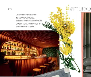  ??  ?? Coctelería Paradiso en Barcelona y, debajo, baldosa hidráulica de Houseof Rym. Dcha., mimosas, a lo que le huele España.