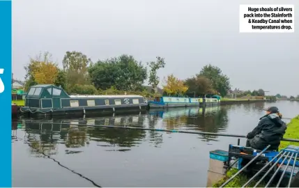  ??  ?? Huge shoals of silvers pack into the Stainforth & Keadby Canal when temperatur­es drop.