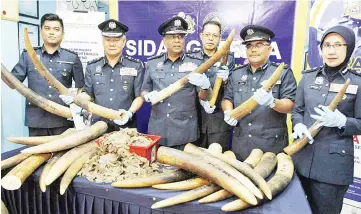  ??  ?? Subromania­m (centre), Hamzah (second left) and other Customs officers showing the three tons of elephant tusks and five tons of pangolin scales that were confiscate­d at the Sepanggar Bay Container Port.