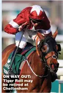  ??  ?? ON WAY OUT: Tiger Roll may be retired at Cheltenham