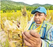  ??  ?? Afectará a los productore­s de maíz y frijol de escasos recursos. / GUERARDO AGUIRRE