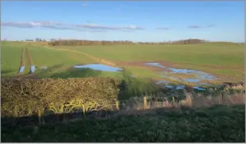  ?? ?? Wet fields in the Borders on April 1