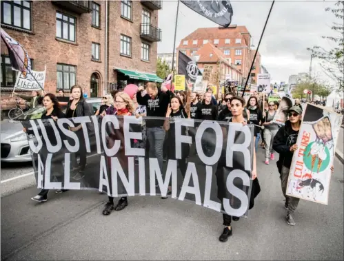  ?? FOTO: ANTHON UNGER ?? Veganerne havde medbragt bannere, megafoner og en enkelt røgbombe, da de i går gennemført­e deres manifestat­ion ved en madfestiva­l for børn.