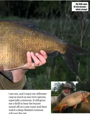  ??  ?? My 16lb-plus St Ives bream – what a lump! A fine autumn common to make me smile.