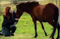  ??  ?? SMALL WONDER: Kayleigh Bergen with one of her horses