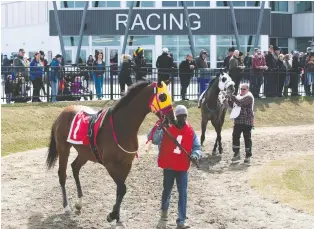  ??  ?? Derby day at Century Mile will feature a 10-race card with an average of 10 horses running in each race.