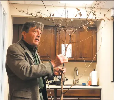  ?? Leslie Hutchison / Hearst Connecticu­t Media ?? Tom Zetterstro­m displays a branch from a Japanese knotweed plant during his presentati­on on the fight to remove the invasive species from rural roadsides and river banks in Northern Litchfield County.